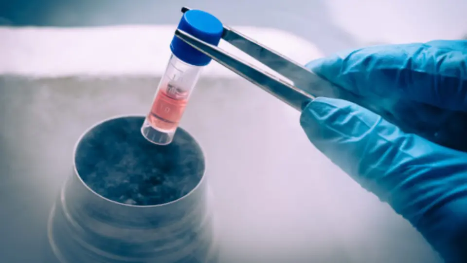 IVF specialist in Bangalore - Ankur Health Care