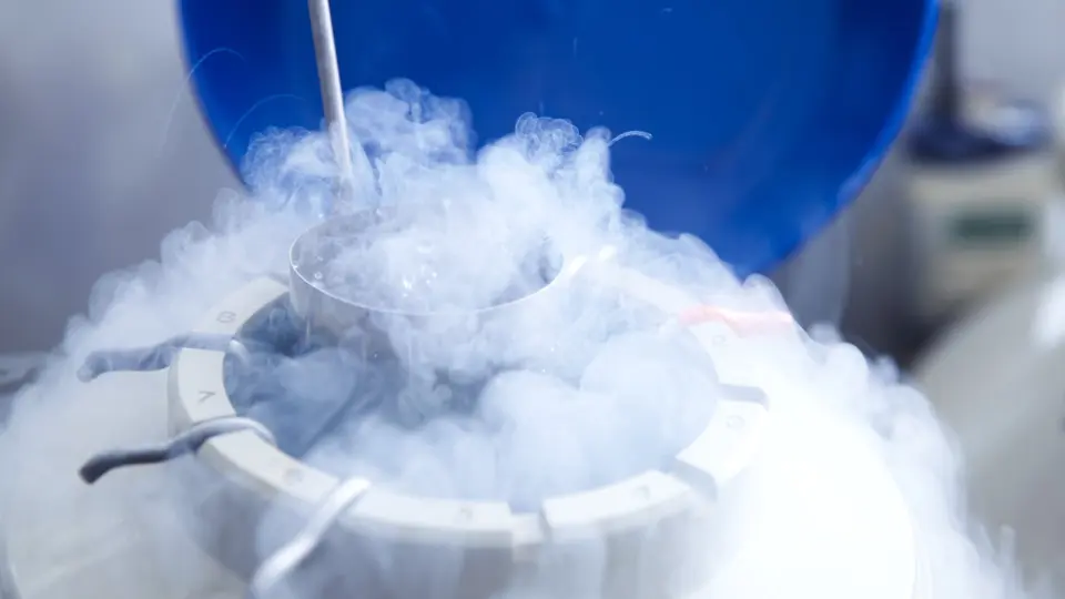 IVF Treatment - Ankur Health Care